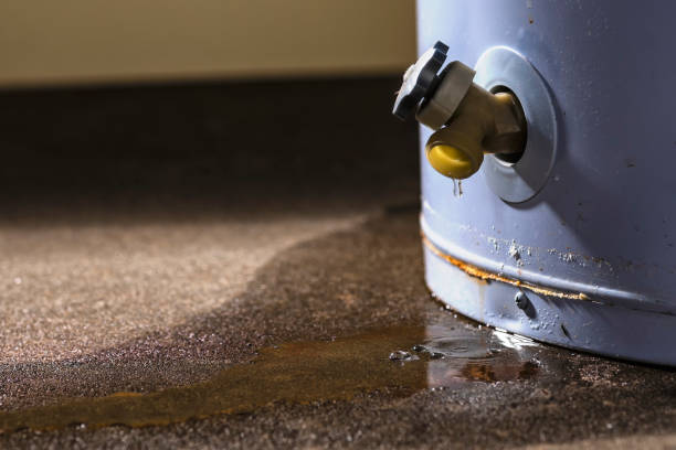 Best Residential water damage restoration  in Progress Village, FL