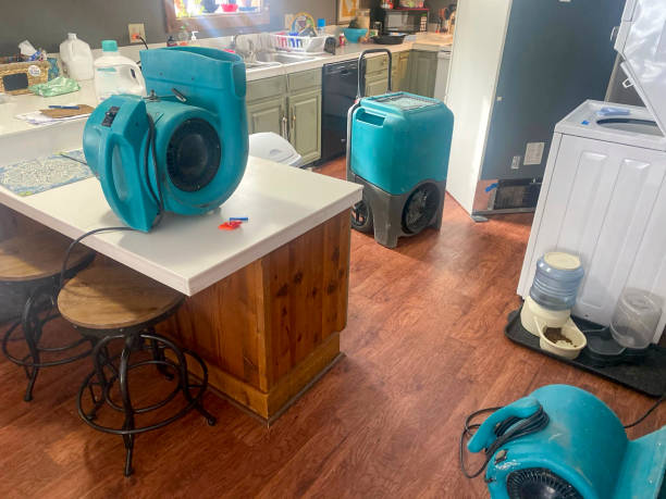 Best Local water damage restoration  in Progress Village, FL