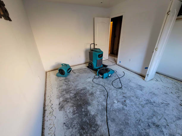 Best Flood damage cleanup  in Progress Village, FL
