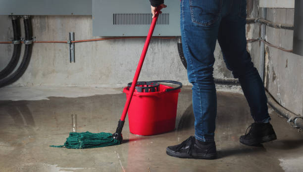Best Water damage restoration near me  in Progress Village, FL