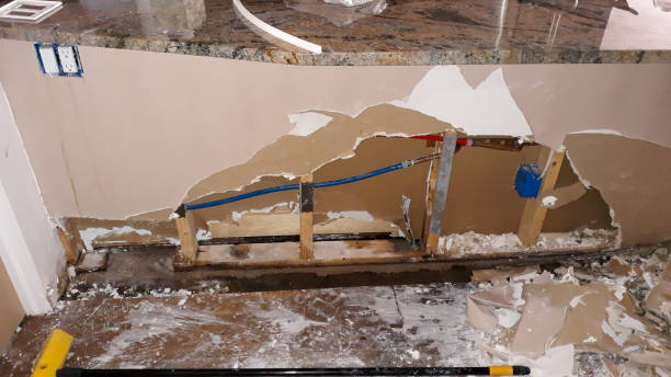 Best Carpet water damage restoration  in Progress Village, FL