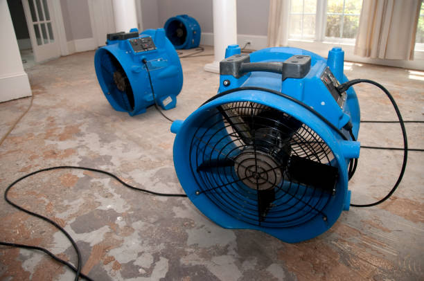 Best Ceiling water damage repair  in Progress Village, FL