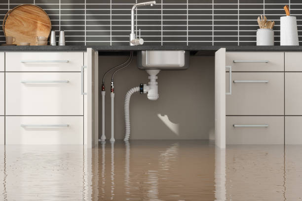 Best Water damage cleanup near me  in Progress Village, FL