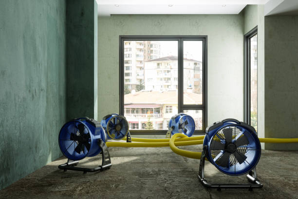 Best Water damage restoration company  in Progress Village, FL