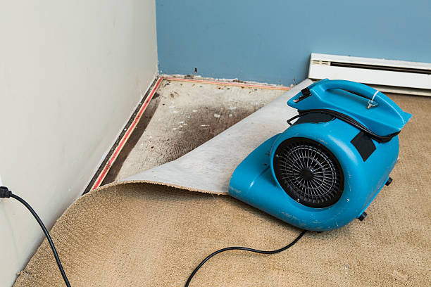 24/7 water damage repair in Progress Village, FL