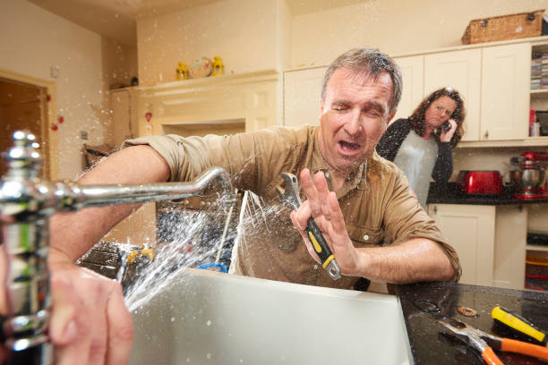 Best Basement water damage restoration  in Progress Village, FL